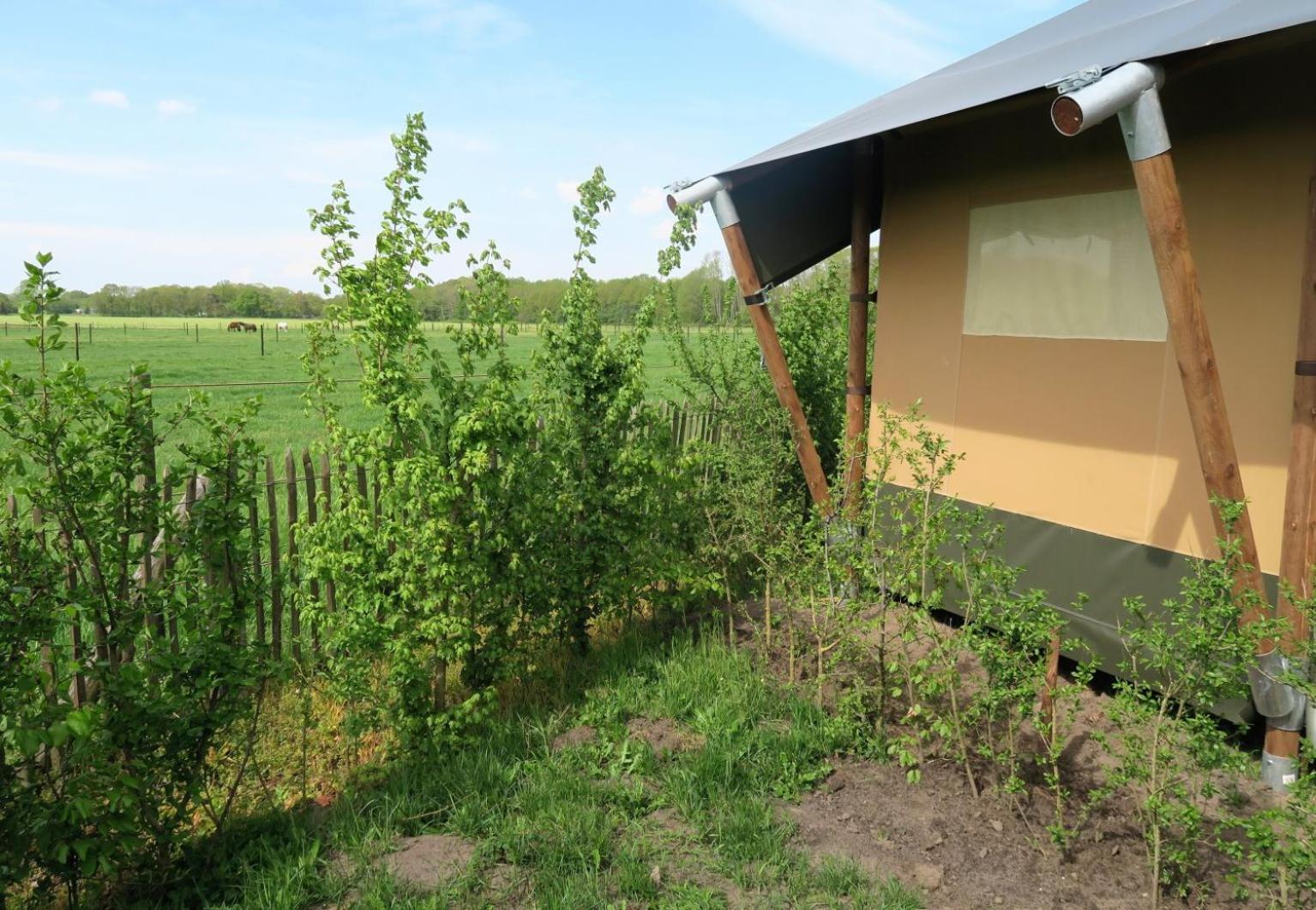 Luxuszelt Luxe Safaritenten Petit013 - Nieuw
